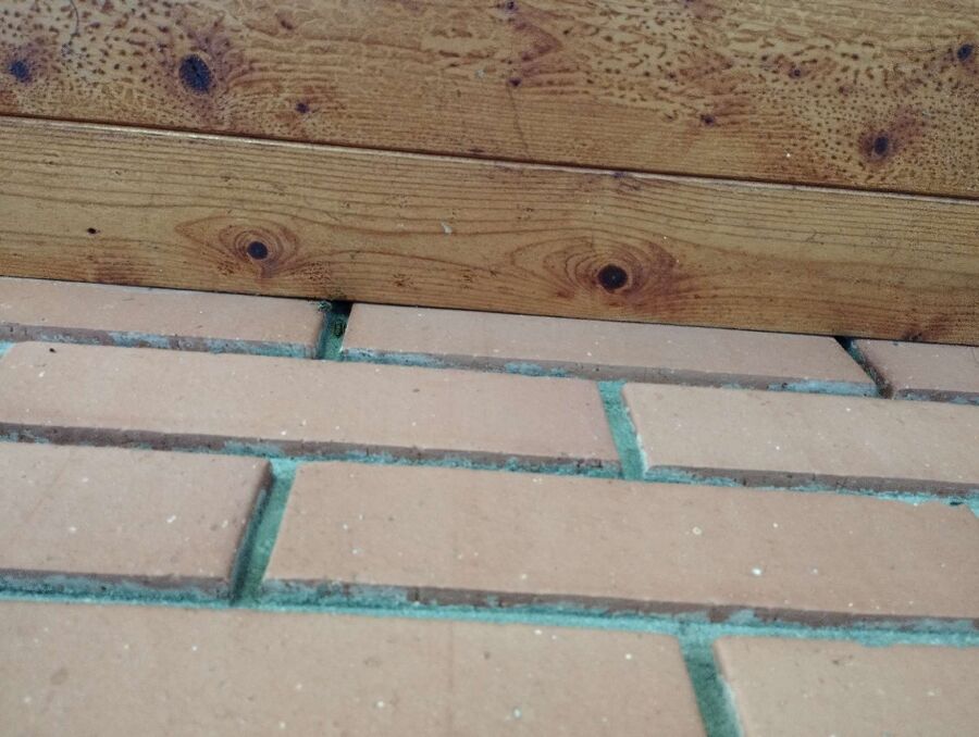 Bienen umsiedeln &  Bienennest entfernen 