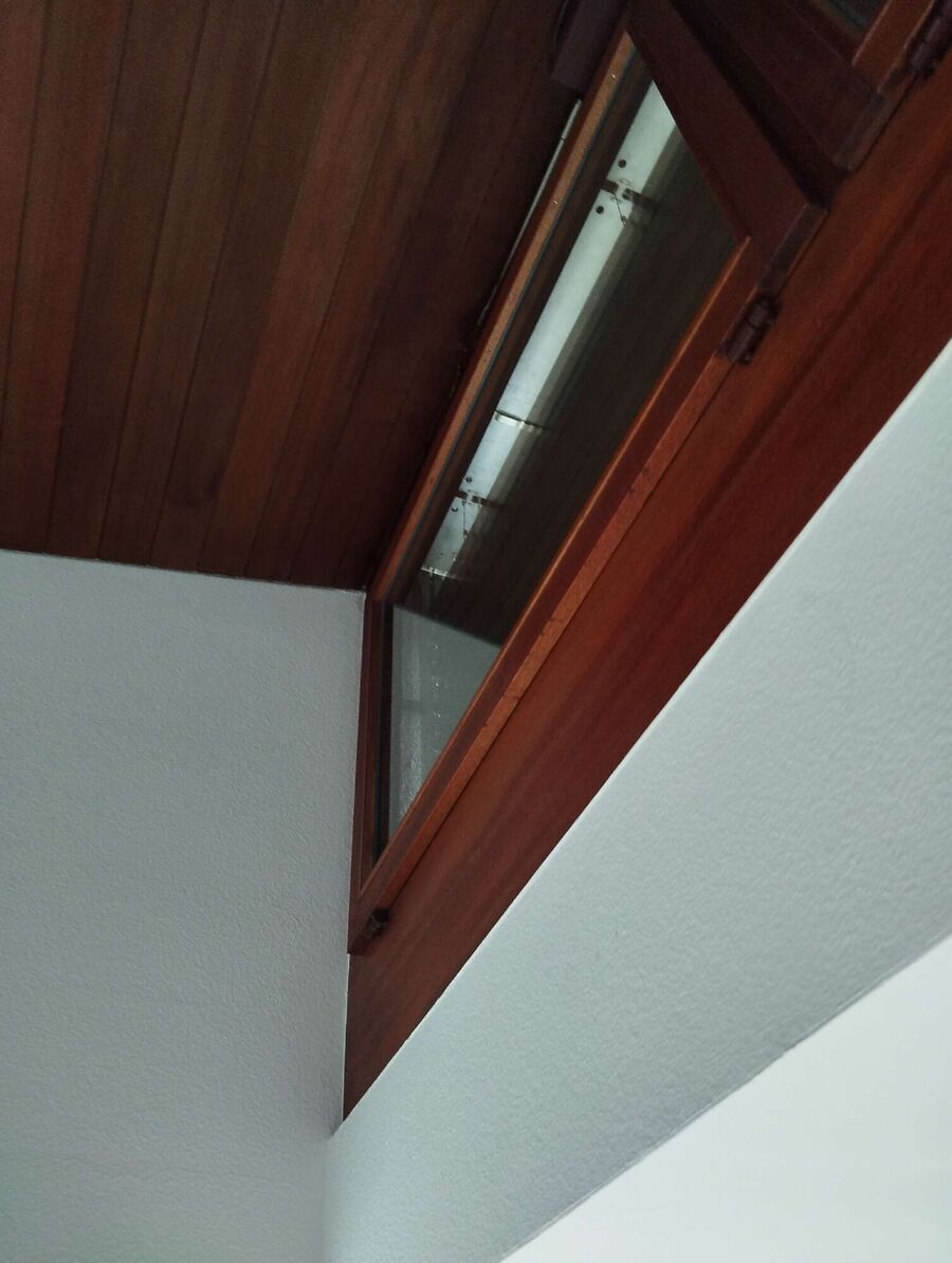 Bienen umsiedeln &  Bienennest entfernen 