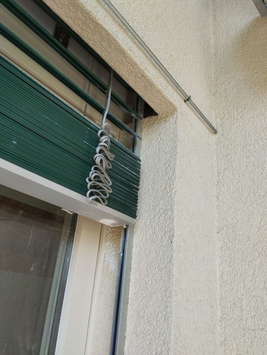  Bienennest entfernen