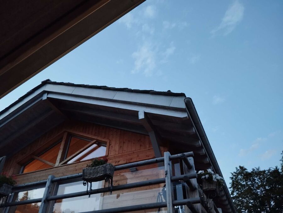 Bienen umsiedeln &  Bienennest entfernen 