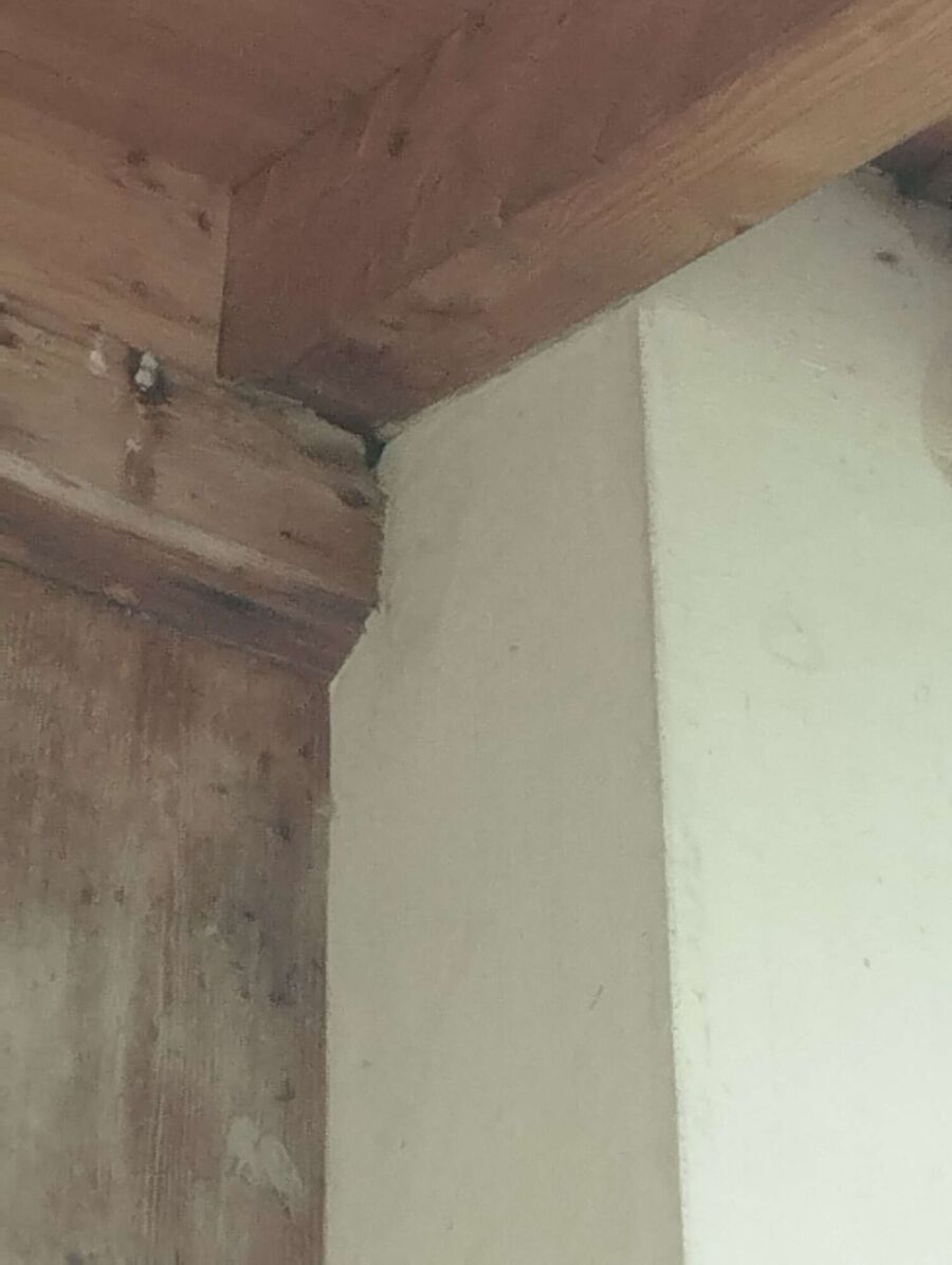  Bienennest entfernen.jpeg