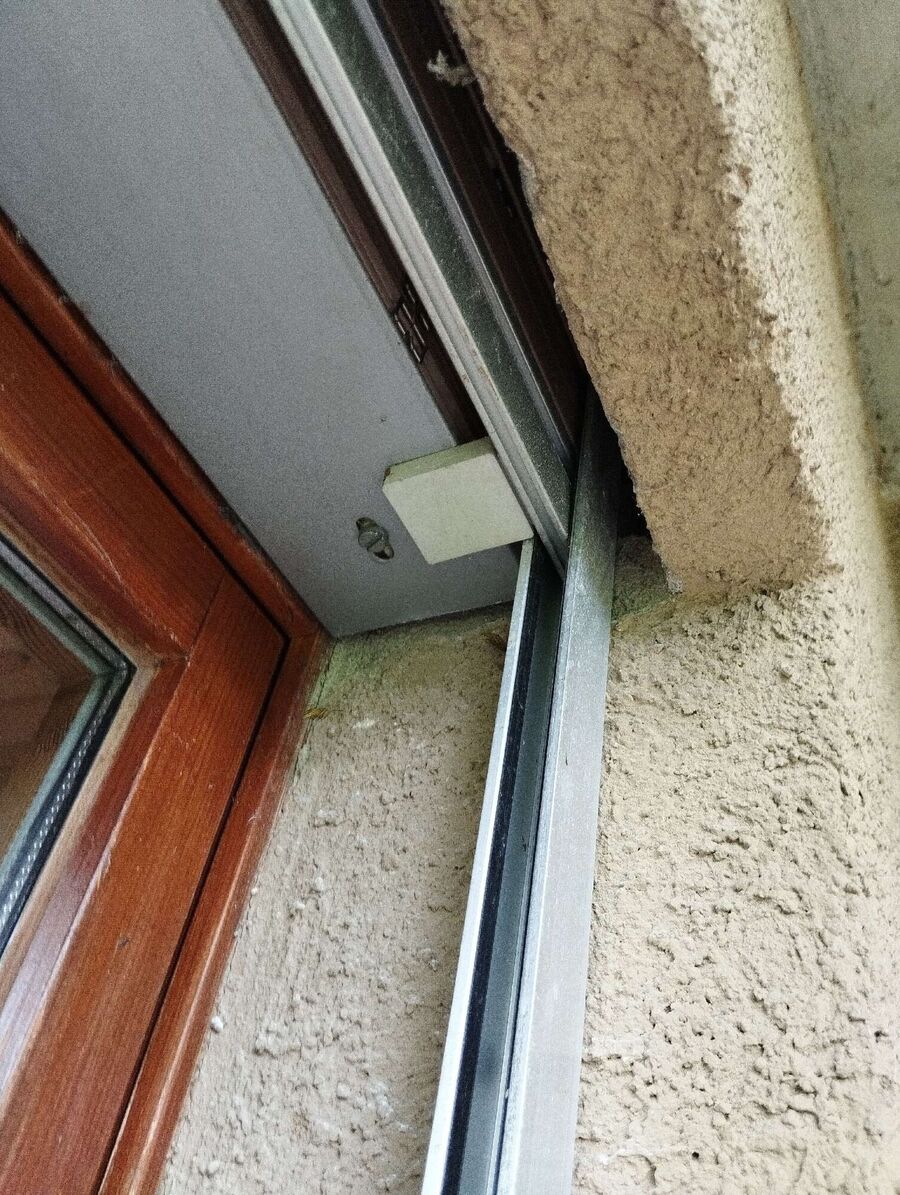  Bienennest entfernen.jpeg