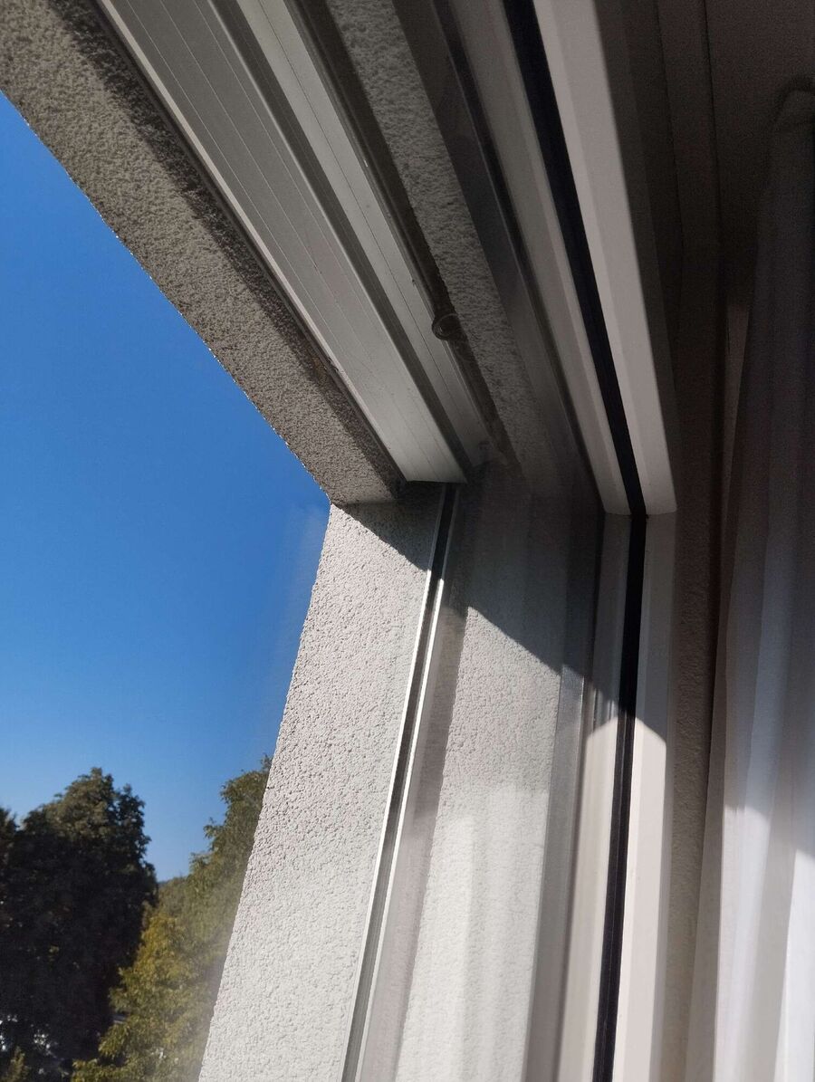  Bienennest entfernen.jpeg