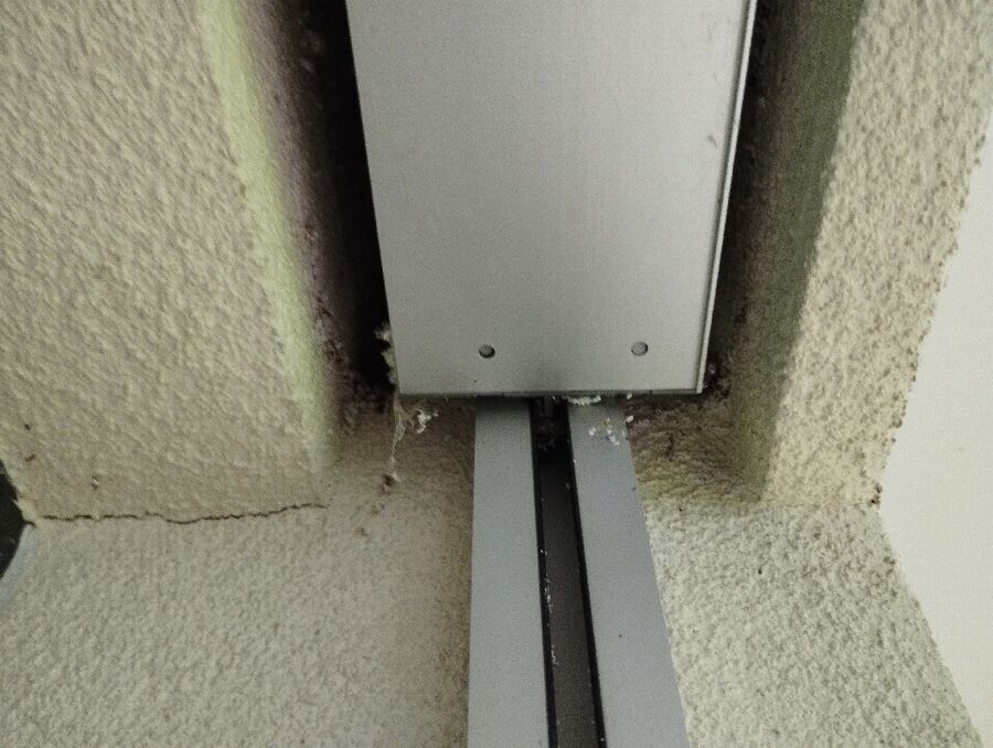  Bienennest entfernen