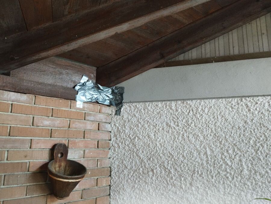  Bienennest entfernen.jpeg