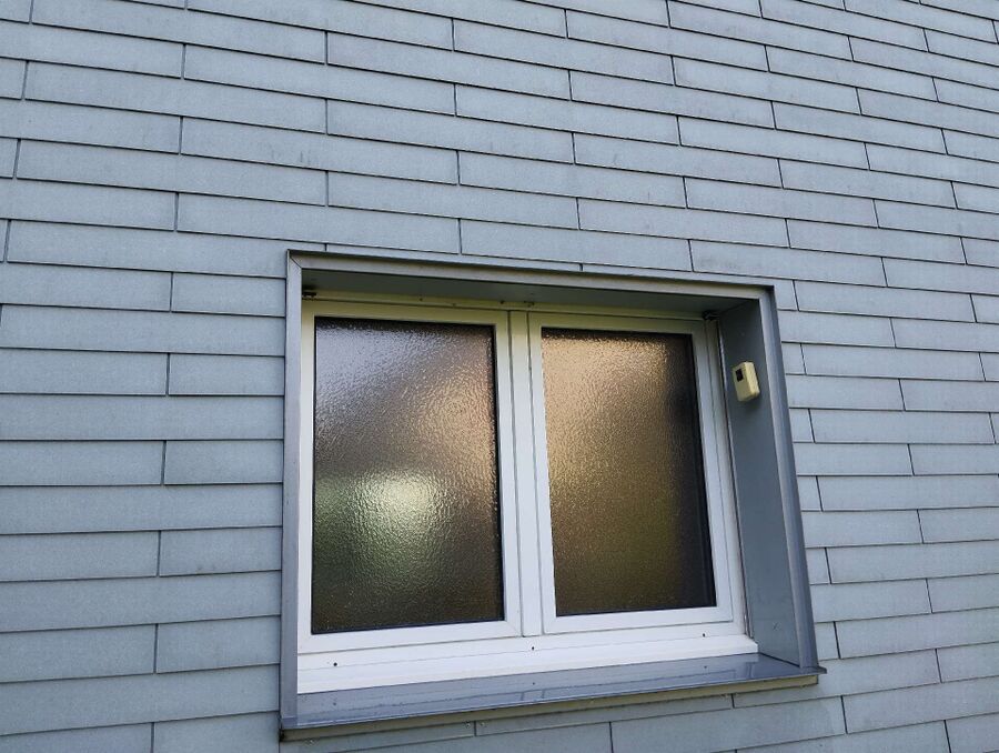  Bienennest entfernen