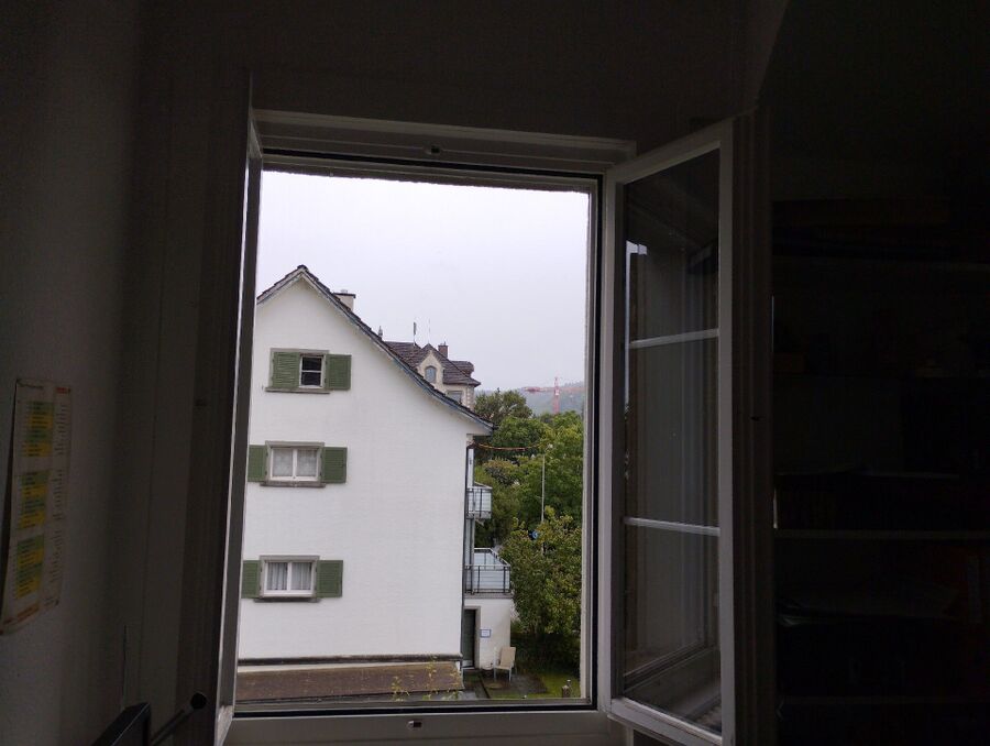 Bienen umsiedeln &  Bienennest entfernen 