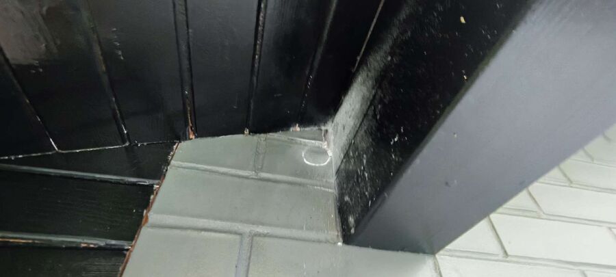 Bienen umsiedeln &  Bienennest entfernen 