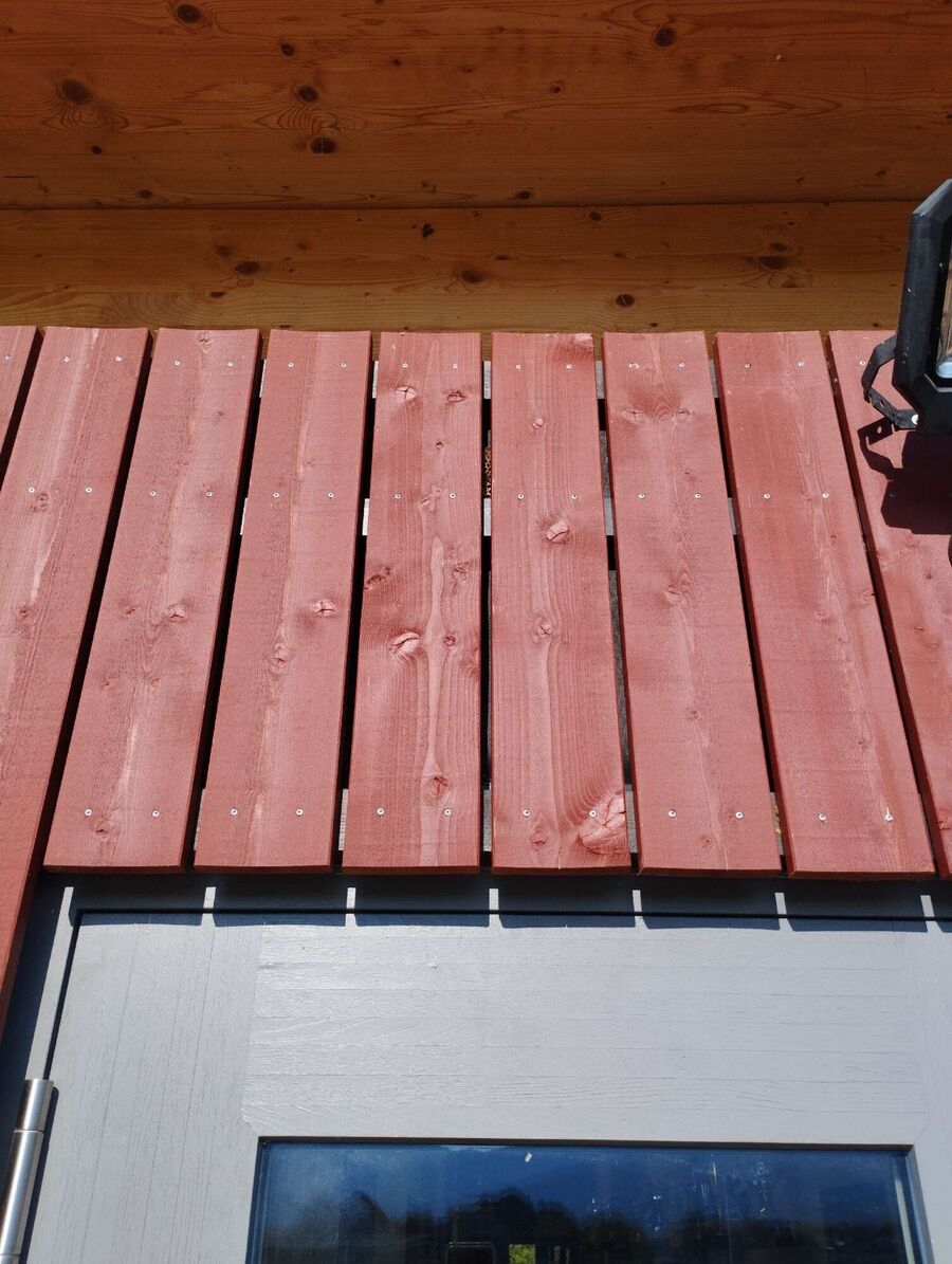  Bienennest entfernen