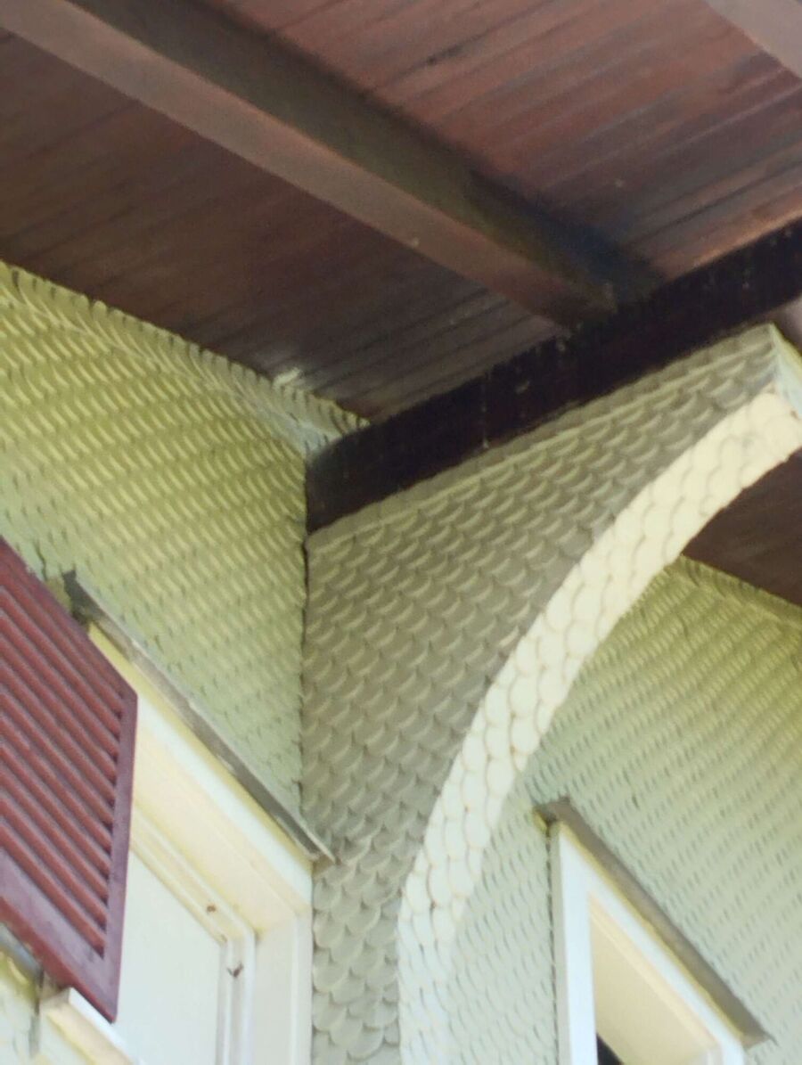  Bienennest entfernen.jpeg