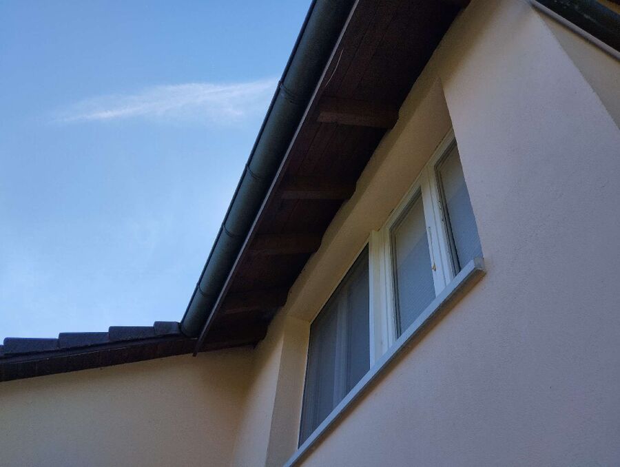  Bienennest entfernen.jpeg