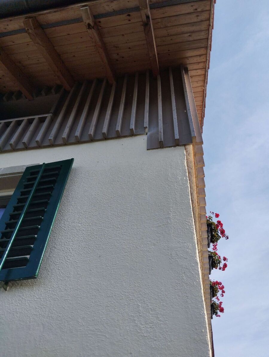  Bienennest entfernen.jpeg