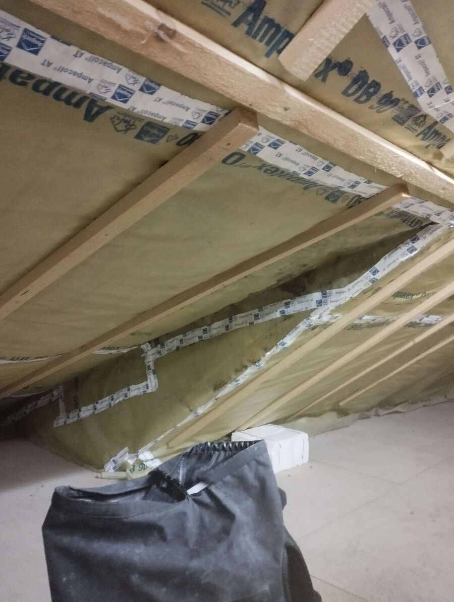  Bienennest entfernen