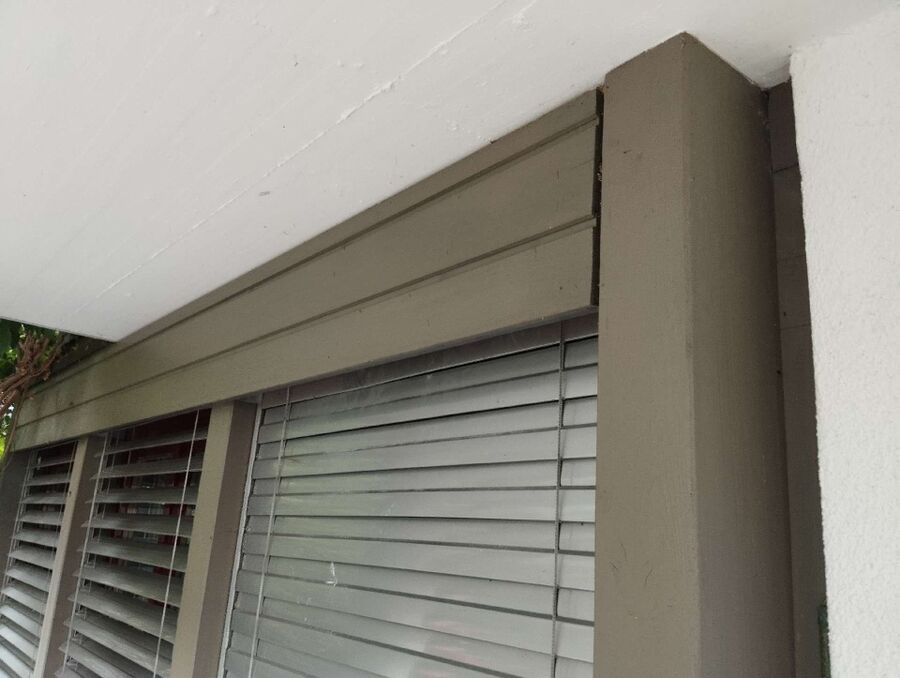 Bienen umsiedeln &  Bienennest entfernen 