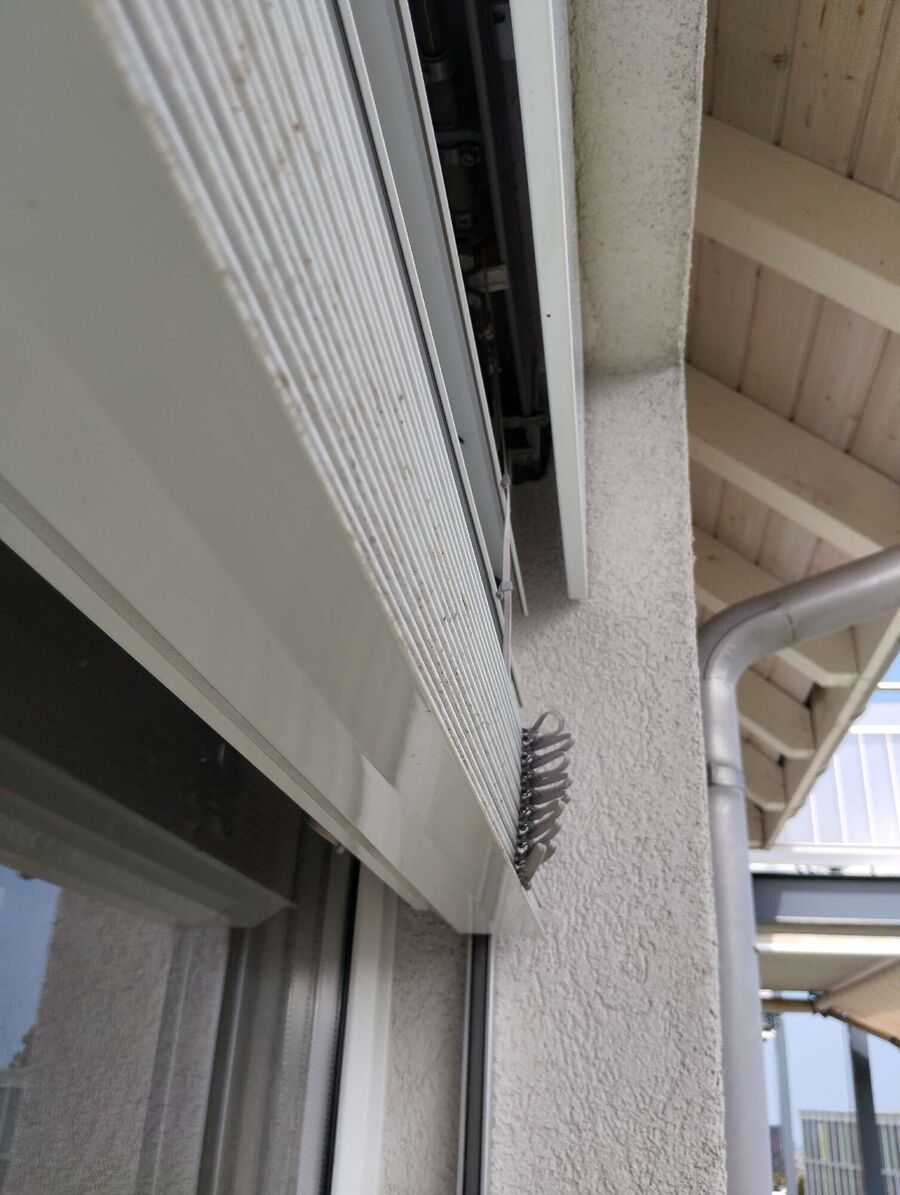 Bienen umsiedeln &  Bienennest entfernen 