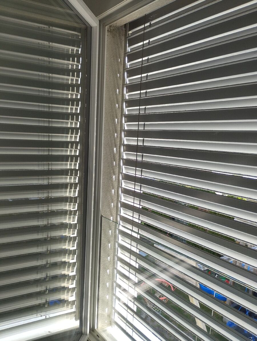 Bienen umsiedeln &  Bienennest entfernen 