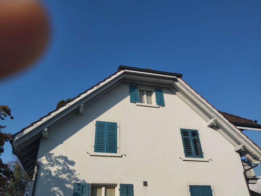 Bienen umsiedeln &  Bienennest entfernen 