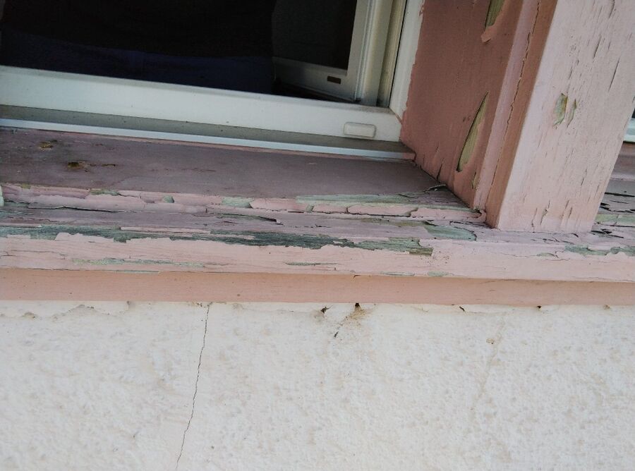 Bienen umsiedeln &  Bienennest entfernen 