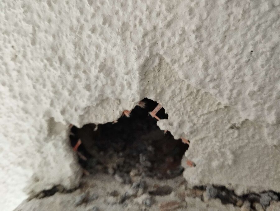  Bienennest entfernen.jpeg