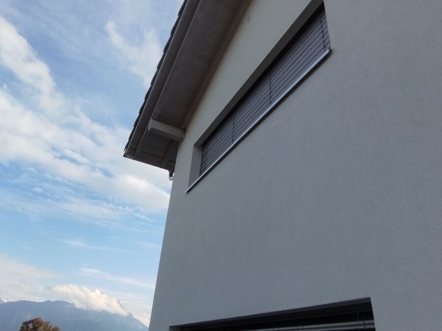 Bienen umsiedeln &  Bienennest entfernen 