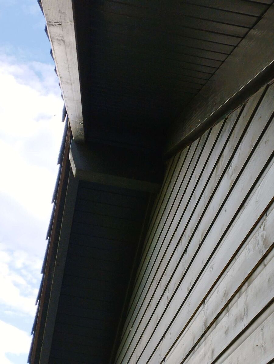  Bienennest entfernen.jpeg