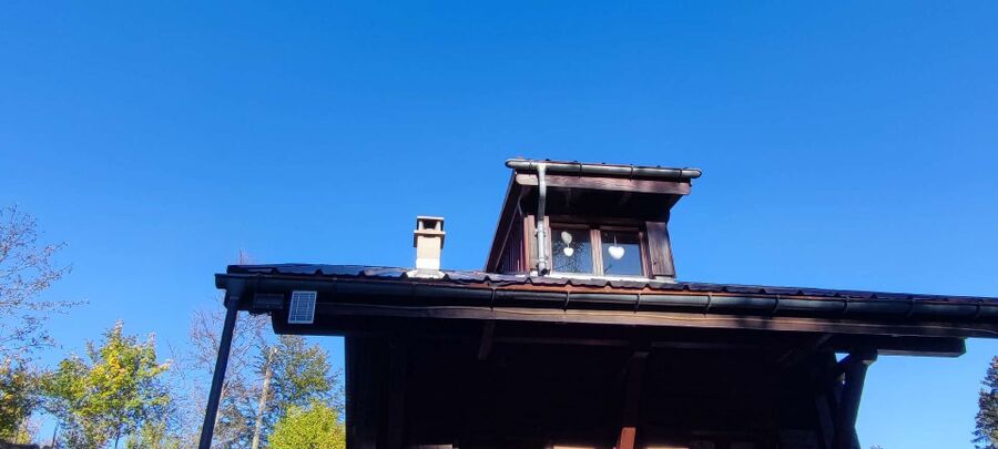  Bienennest entfernen