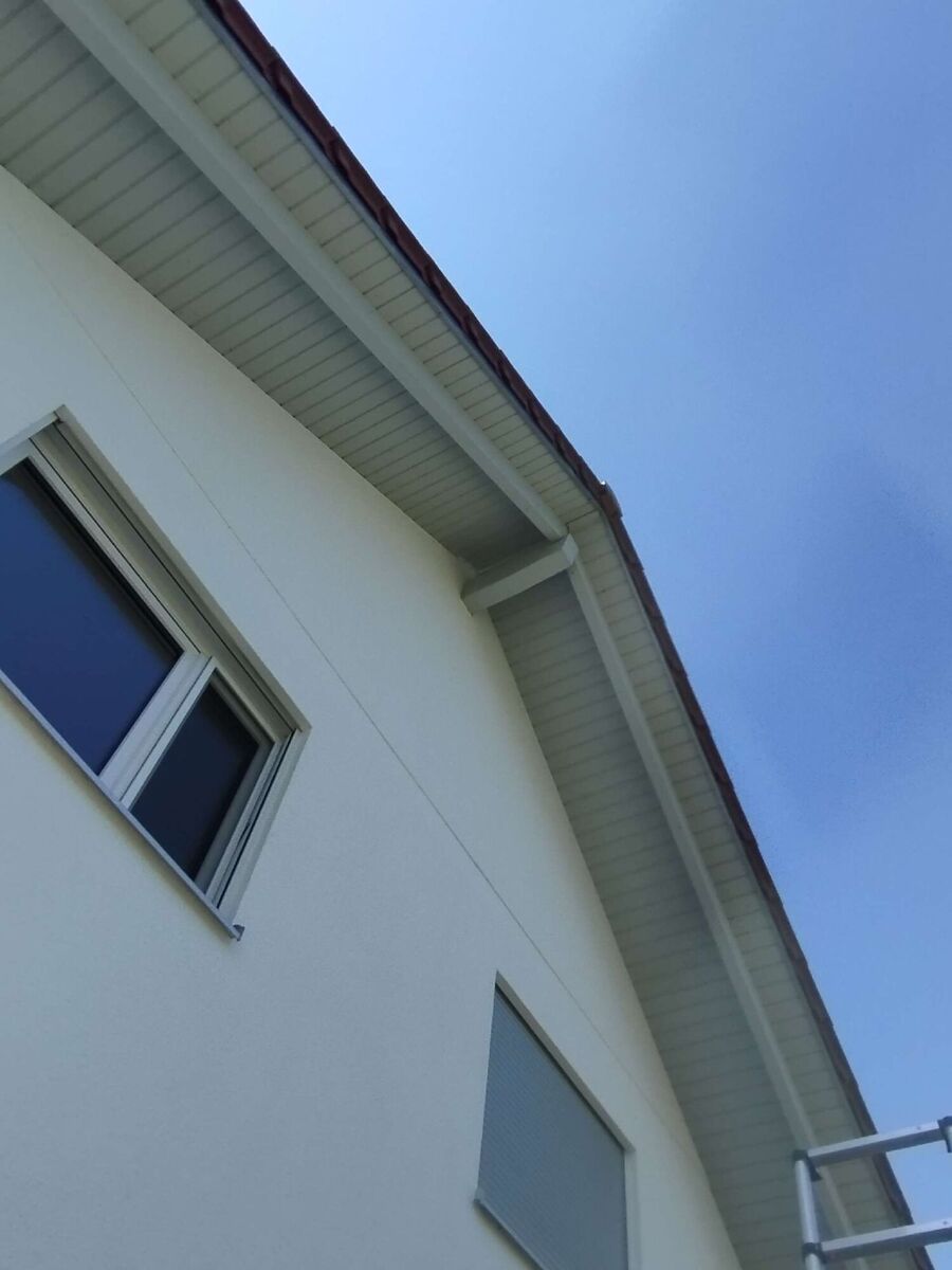  Bienennest entfernen