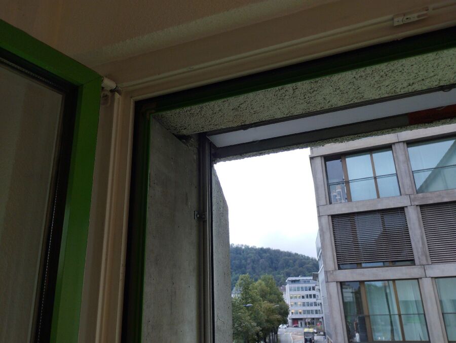  Bienennest entfernen