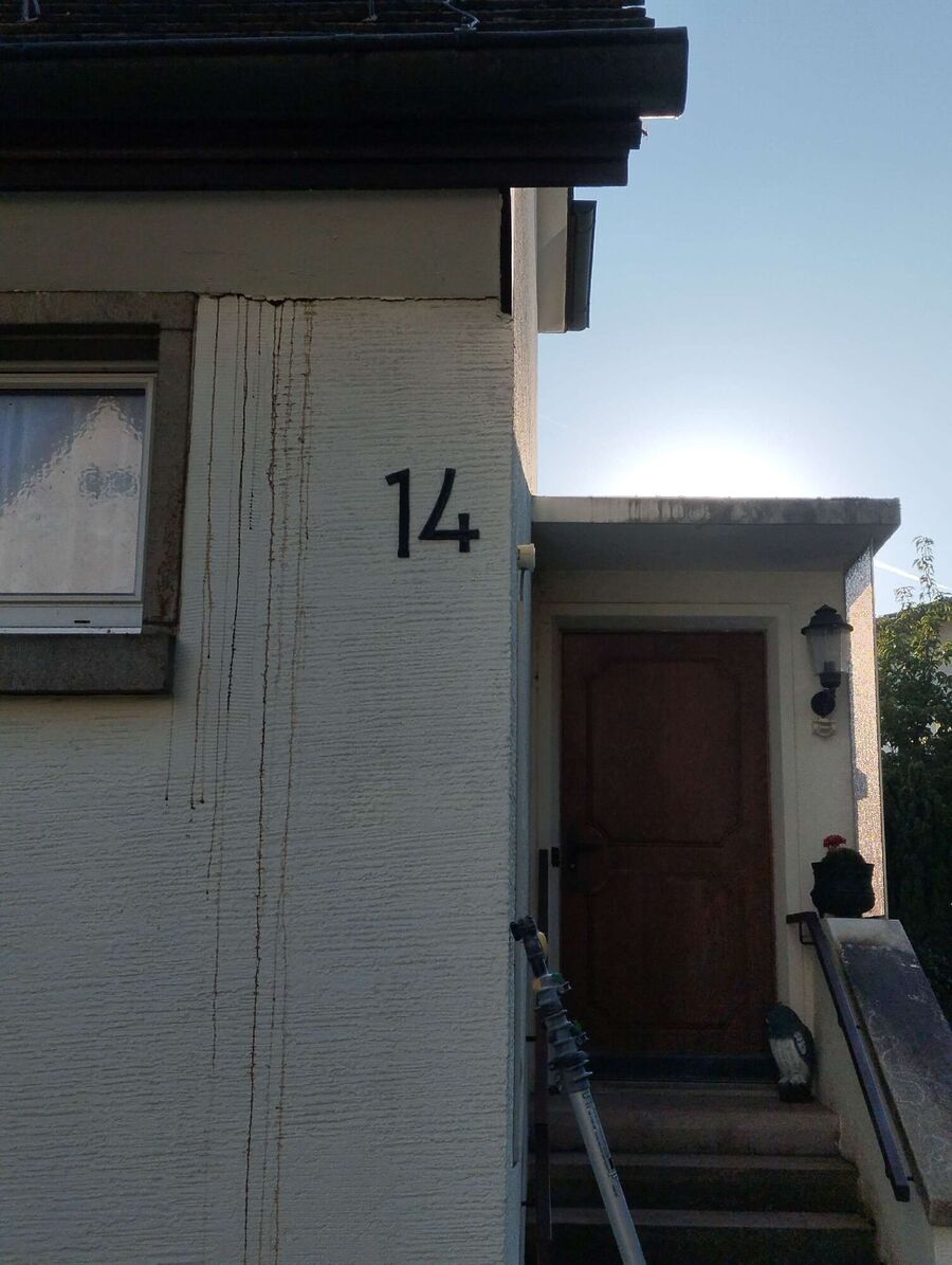 Bienen umsiedeln &  Bienennest entfernen 