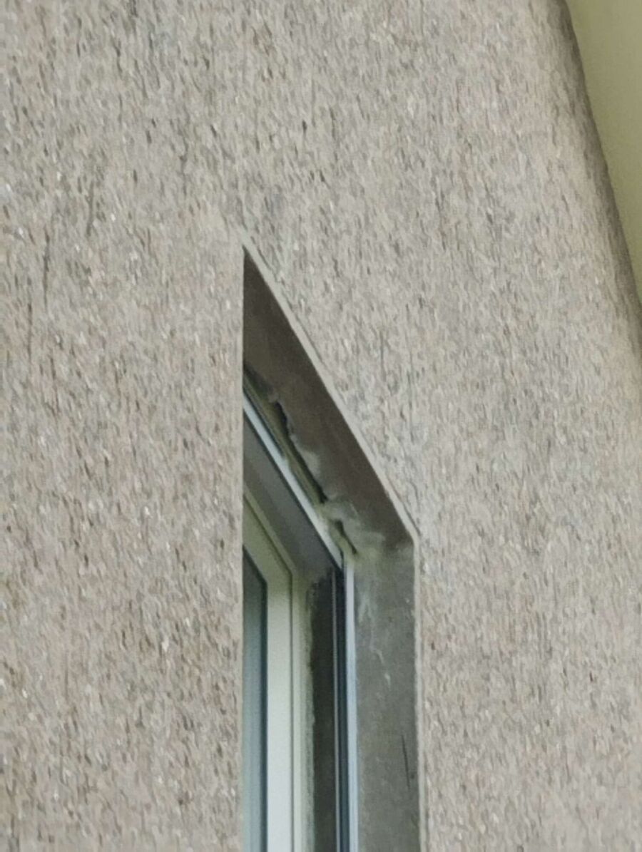 Bienen umsiedeln &  Bienennest entfernen 