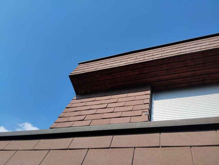  Bienennest entfernen