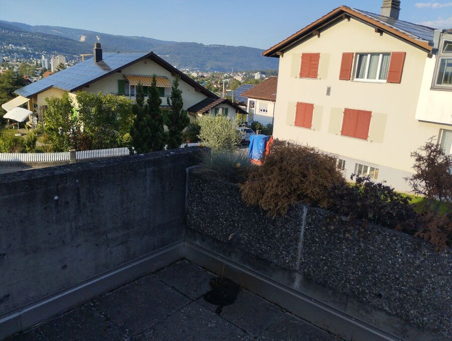  Bienennest entfernen