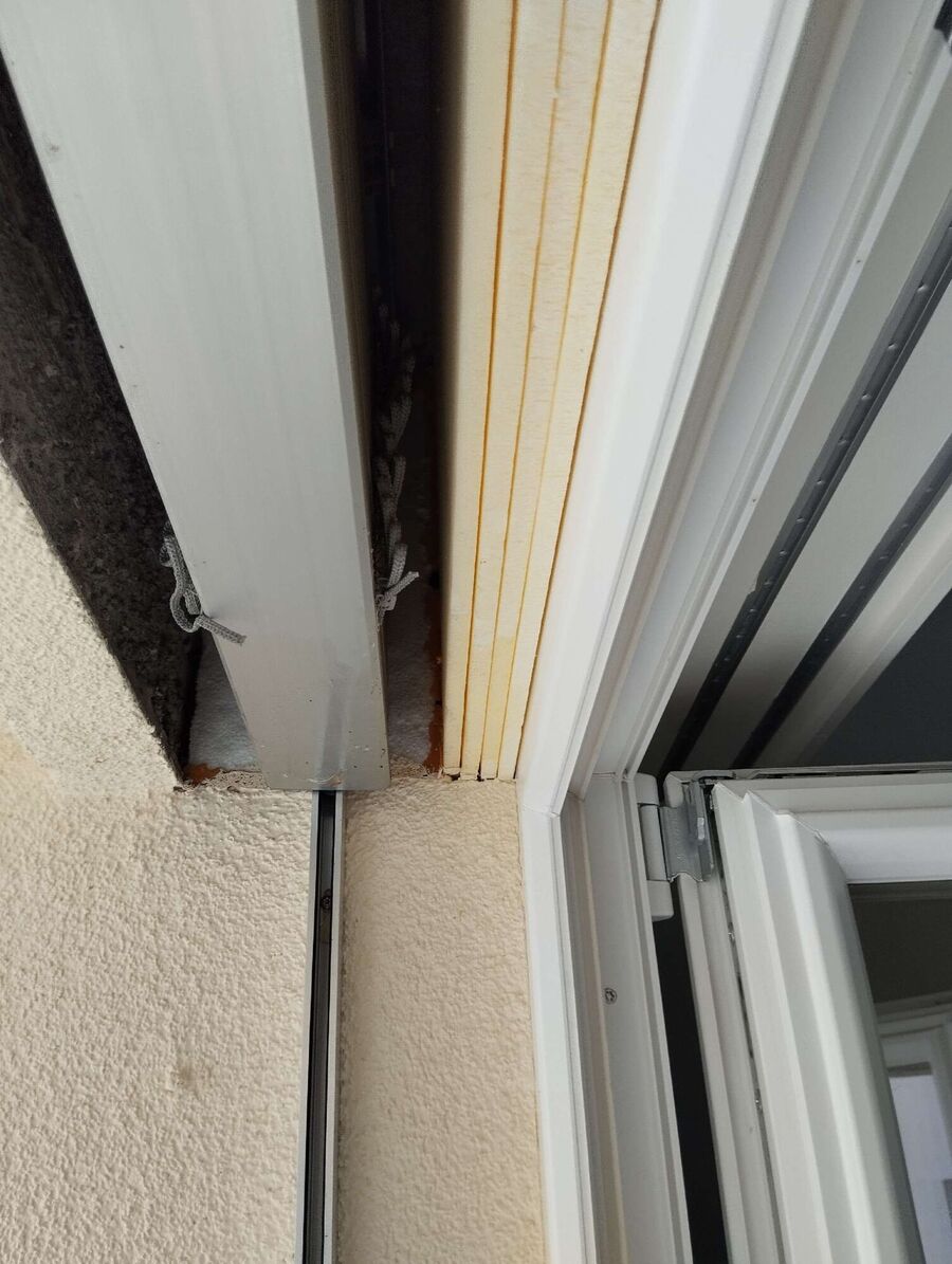  Bienennest entfernen.jpeg