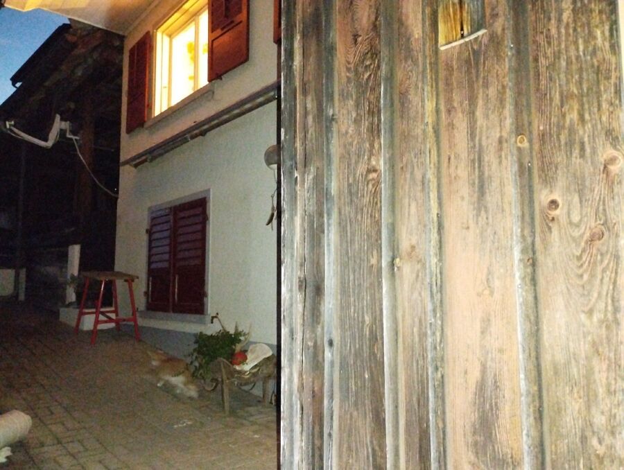  Bienennest entfernen