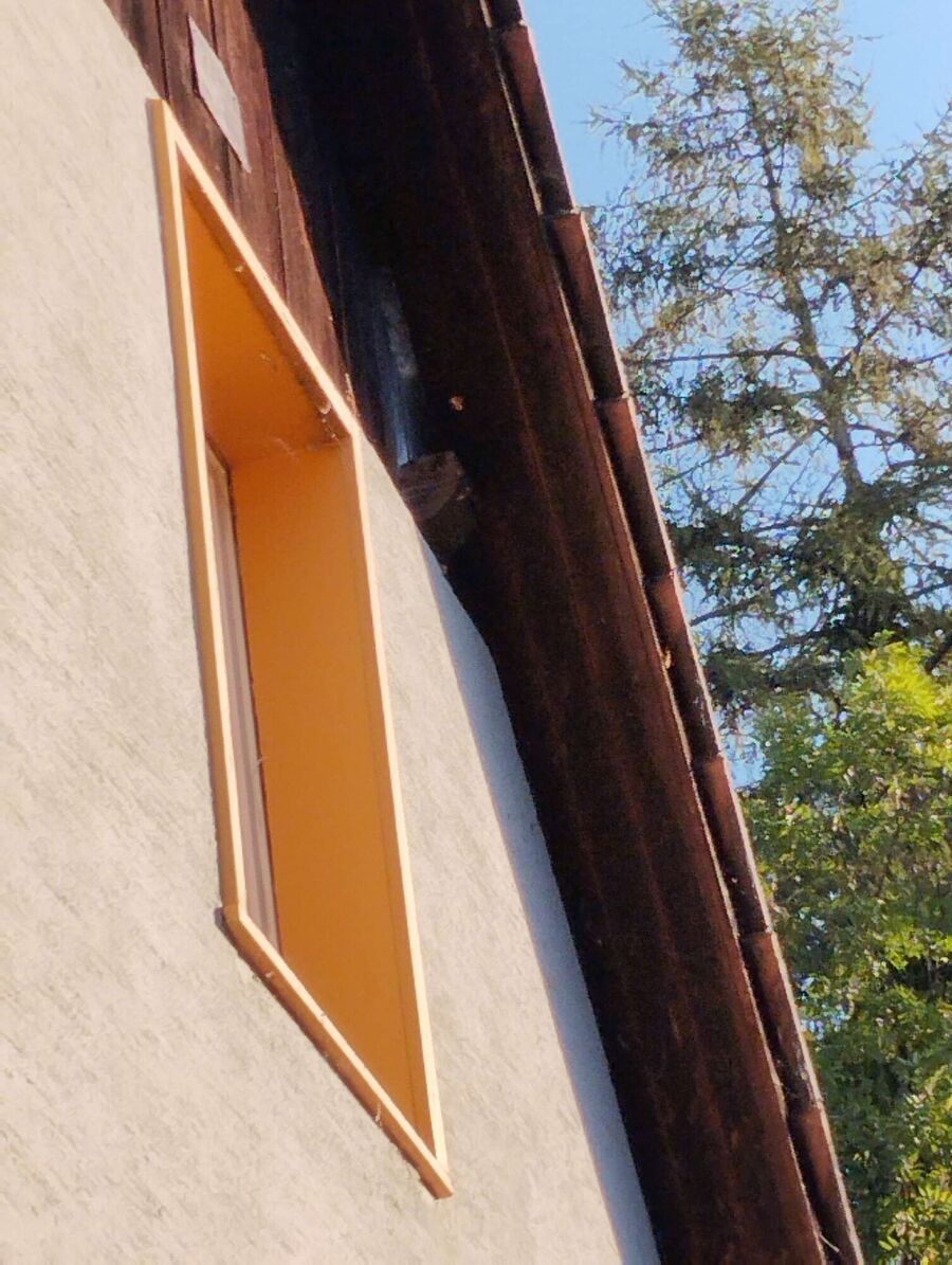  Bienennest entfernen