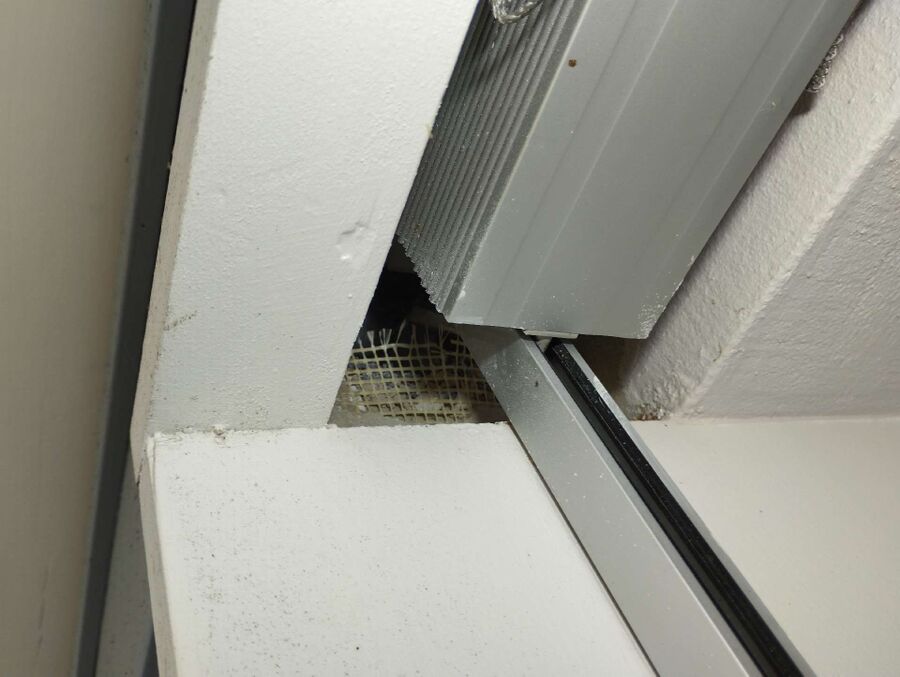  Bienennest entfernen.jpeg