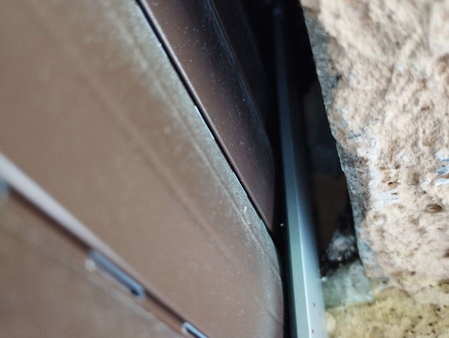 Bienen umsiedeln &  Bienennest entfernen 