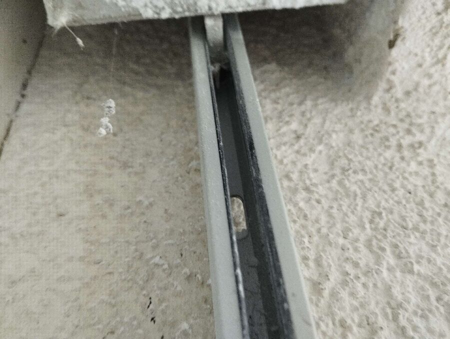  Bienennest entfernen