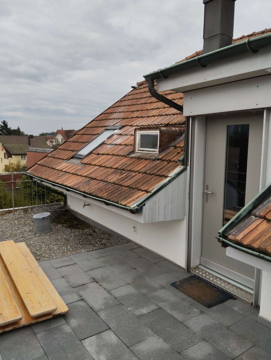 Bienen umsiedeln &  Bienennest entfernen 