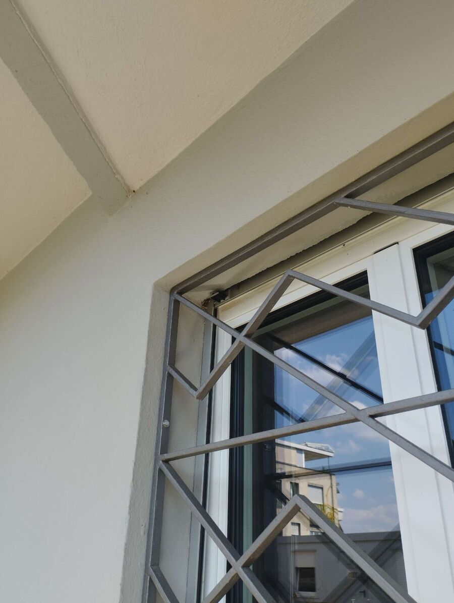 Bienen umsiedeln &  Bienennest entfernen 