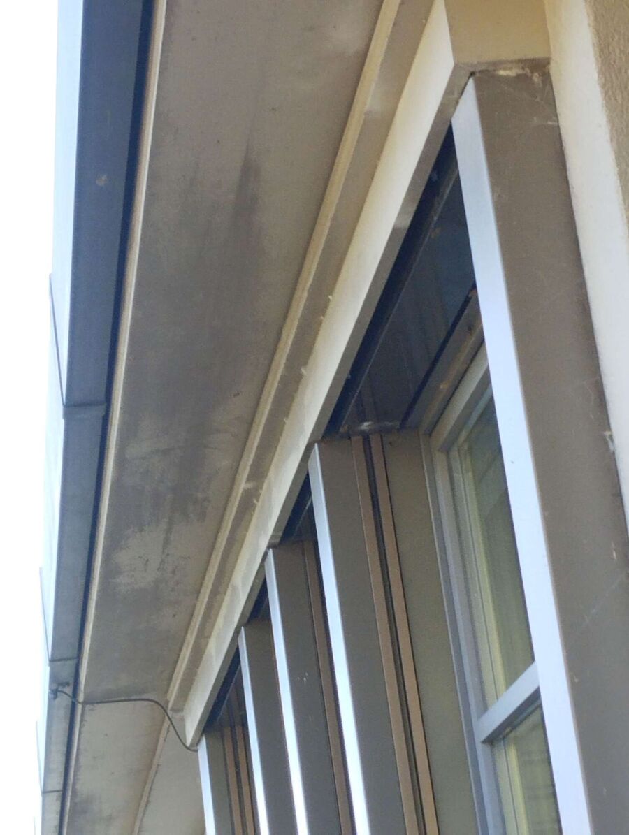  Bienennest entfernen