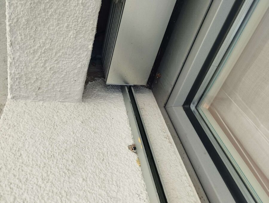 Bienen umsiedeln &  Bienennest entfernen 