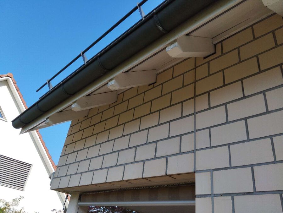  Bienennest entfernen.jpeg