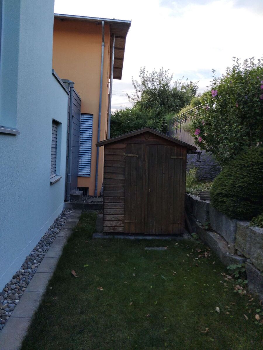  Bienennest entfernen.jpeg