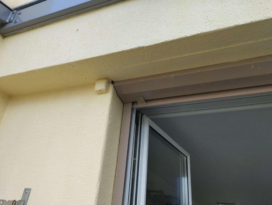 Bienen umsiedeln &  Bienennest entfernen 