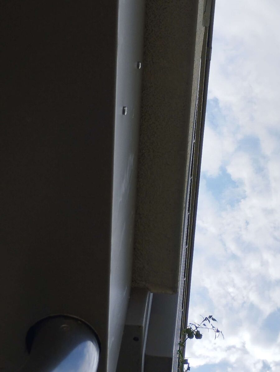  Bienennest entfernen