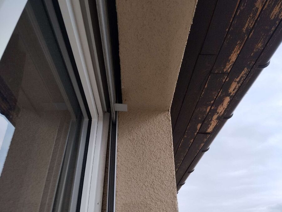 Bienen umsiedeln &  Bienennest entfernen 