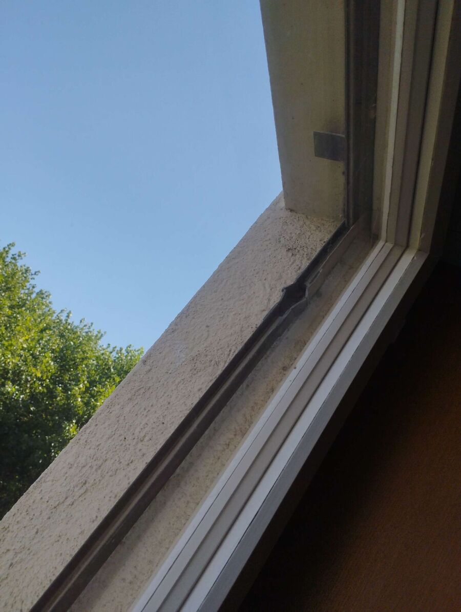 Bienen umsiedeln &  Bienennest entfernen 