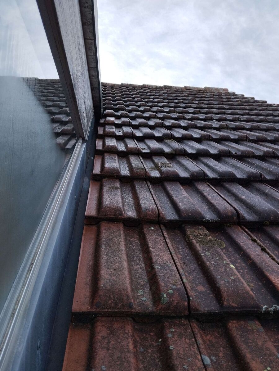  Bienennest entfernen