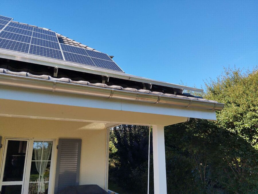  Bienennest entfernen.jpeg